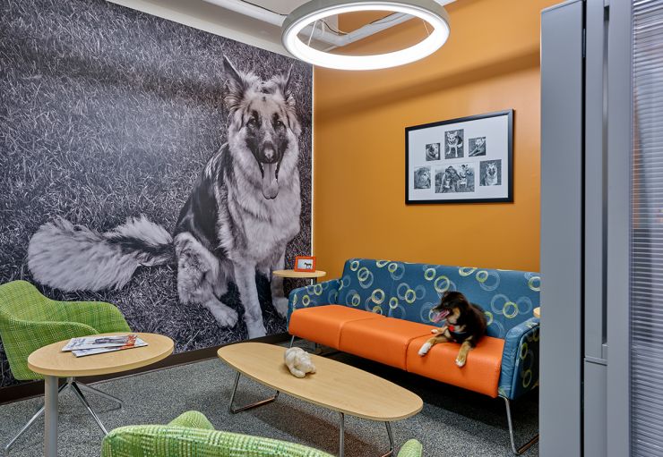 Pet Therapy - Rowan University 1200x828.jpg